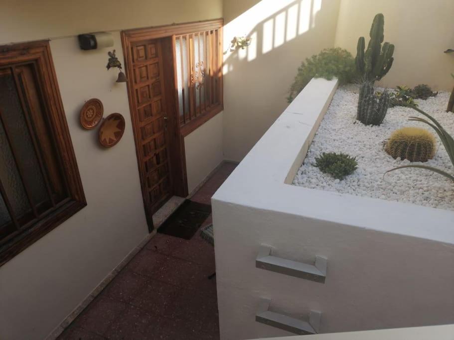 Casa Las Pencas De Margarita Los Realejos Exterior photo